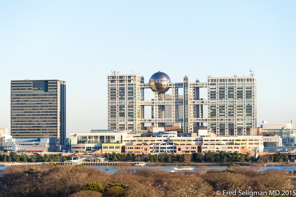 20150311_170919 D3S.jpg - Fuji TV building